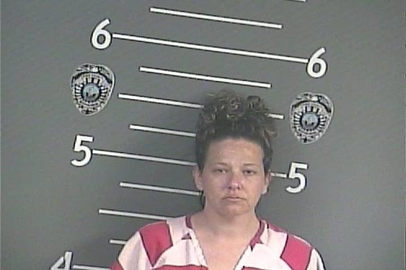 HOLLY WADDLE ARREST - Pike County Mugshots