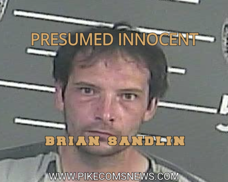 BRIAN SANDLIN ARREST - Pike County Mugshots